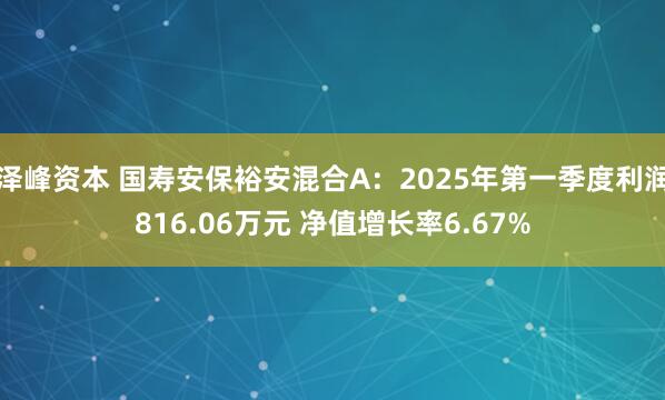 泽峰资本 国寿安保裕安混合A：2025年第一季度利润816.06万元 净值增长率6.67%