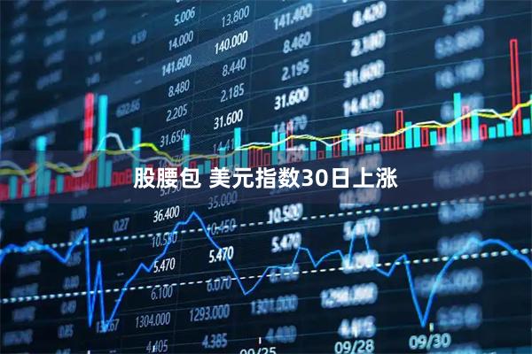 股腰包 美元指数30日上涨