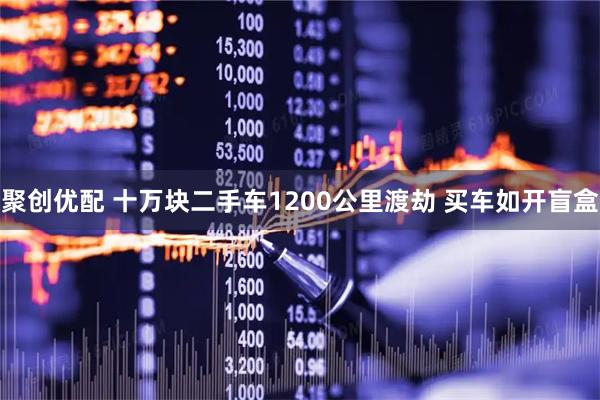聚创优配 十万块二手车1200公里渡劫 买车如开盲盒
