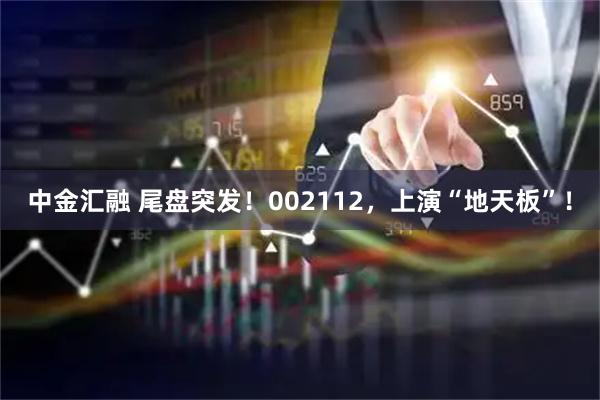 中金汇融 尾盘突发！002112，上演“地天板”！