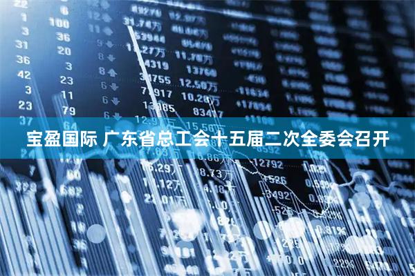 宝盈国际 广东省总工会十五届二次全委会召开