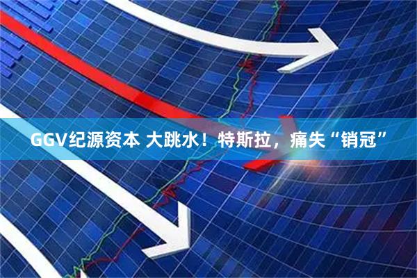 GGV纪源资本 大跳水！特斯拉，痛失“销冠”