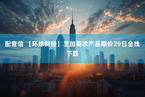 配查信 【环球财经】芝加哥农产品期价29日全线下跌