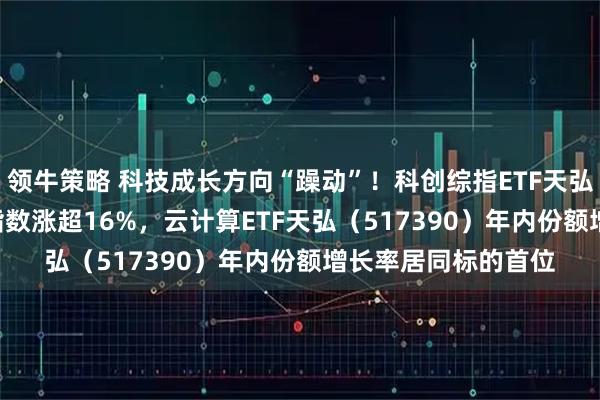 领牛策略 科技成长方向“躁动”！科创综指ETF天弘（589860）跟踪指数涨超16%，云计算ETF天弘（517390）年内份额增长率居同标的首位