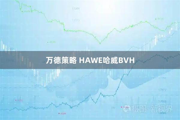 万德策略 HAWE哈威BVH