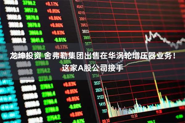 龙坤投资 舍弗勒集团出售在华涡轮增压器业务！这家A股公司接手