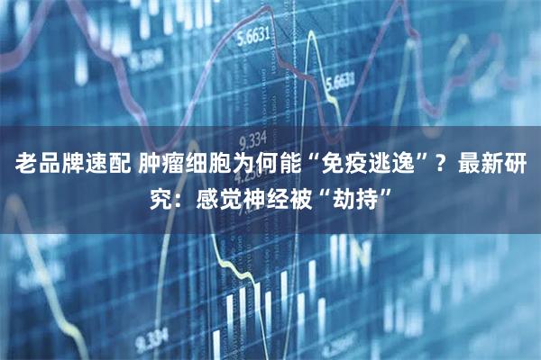 老品牌速配 肿瘤细胞为何能“免疫逃逸”？最新研究：感觉神经被“劫持”